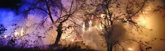 В пожаре на Хийумаа погиб мужчина