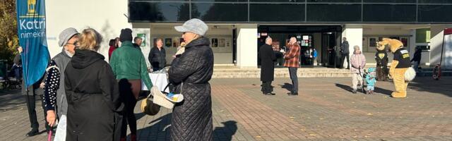 На местных выборах в муниципальные собрания прошло немного больше женщин, чем прежде