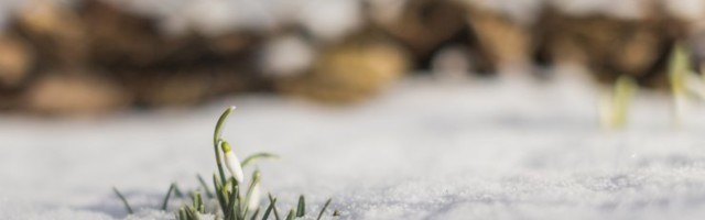 Финский метеоролог: весеннее тепло может смениться снова зимними морозами