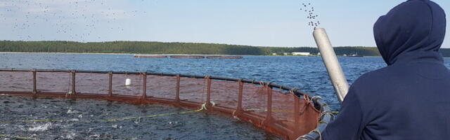 Едва не обанкротившаяся фирма PRFoods хочет встать на ноги и делает ставку на завод в Шотландии