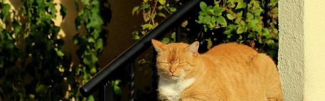 Апрель был немного теплее нормы