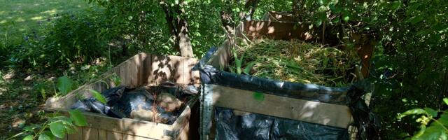 Цены на вывоз мусора растут, но главный вызов – это сбор биоотходов