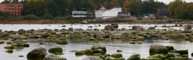 ГАЛЕРЕЯ | А где вода-то? Пляж под Таллинном остался без моря