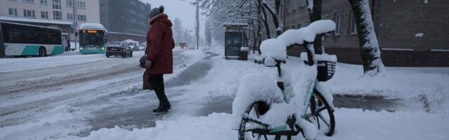 Пяртель-Пеэтер Пере: уборка снега в городе ведется, в том числе и в апреле