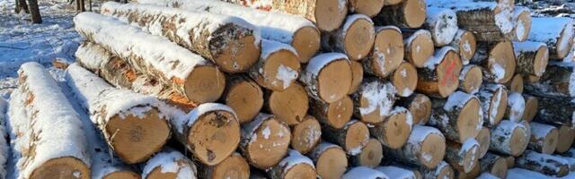 Сокращение вырубки в государственных лесах вызывает беспокойство у лесопромышленников