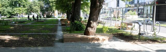 „Нас просто поставили перед фактом“. С помощью города в парке Таммсааре в нарушение авторских прав появилась подходящая для торгового центра зона для пикников