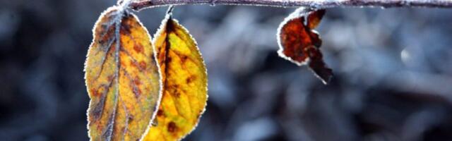 На выходных ожидается преимущественно солнечная погода