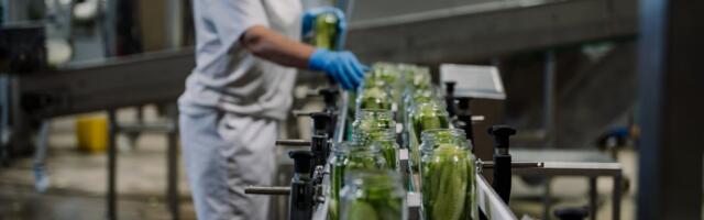 Два миллиона килограммов огурцов, тыквы и капусты законсервируют в Пылтсамаа 