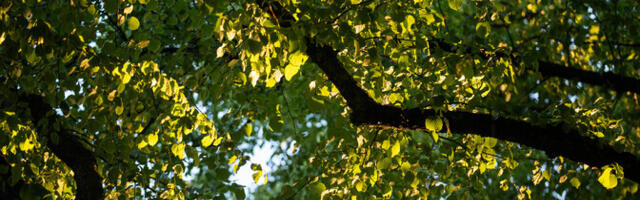 В среду переменная облачность, дожди и грозы, +22.. +27