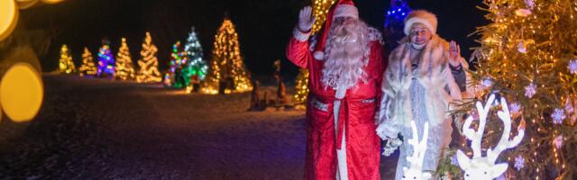 Самая длинная елочная аллея, световая галерея и скульптуры животных: в ноябре вновь откроется крупнейшая в Эстонии зимняя деревня