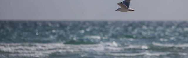 Гороскоп на 19 апреля: день религиозности и умиротворения