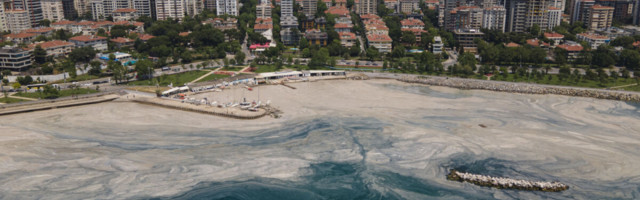 ФОТО | "Морские сопли" в Турции: слизь покрыла берега Мраморного моря и угрожает Черному