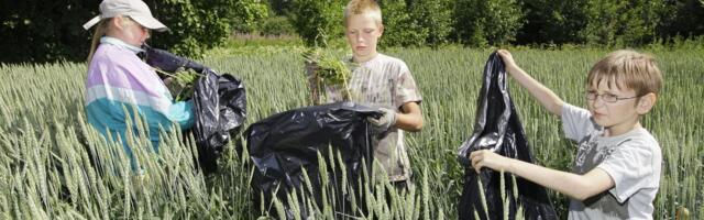 ОТВЕЧАЕТ ЮРИСТ | Может ли несовершеннолетний работать рано утром?