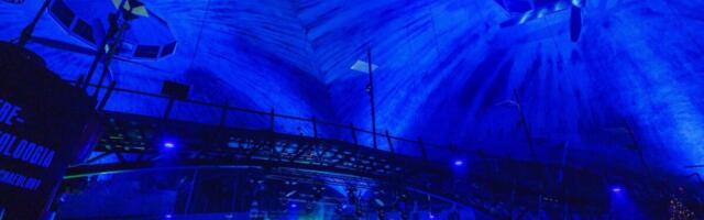 ТОП 1000 успешных компаний: три фирмы одного крупного игрока вошли в первую десятку