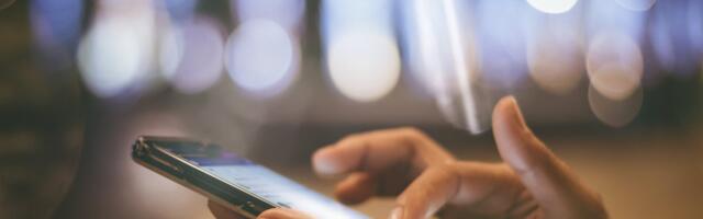 Зеленский: теперь Украина стала для Эстонии примером в области цифровых решений