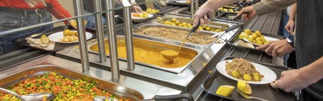 Что едят дети в школе? Министерство озаботилось улучшением обедов учащихся