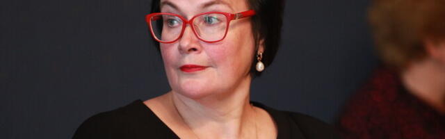 Планируется, что мэром Нарвы останется Райк, а Стальнухин будет председателем горсобрания