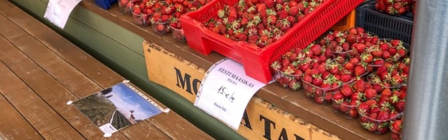 ФОТО | Первая эстонская клубника появилась на рынках! Где самые лучшие цены?