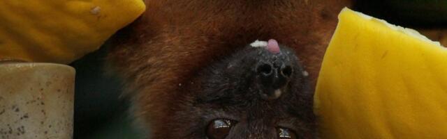 Биолог: говорить о генетическом оружии может только параноик