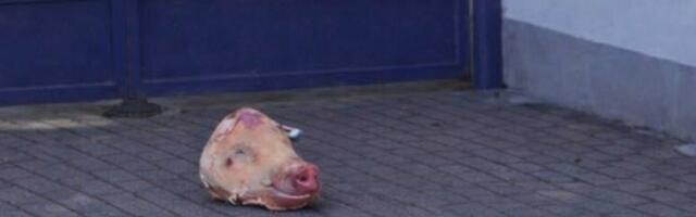 Правда ли, что к воротам посольства Украины в Будапеште подбросили свиную голову?