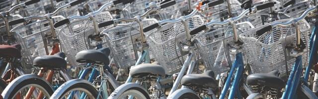 Таллинн аннулирует тендер на строительство велодомиков