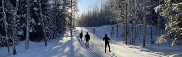 Больше движения на свежем воздухе: по всей Эстонии проходят бесплатные тренировки