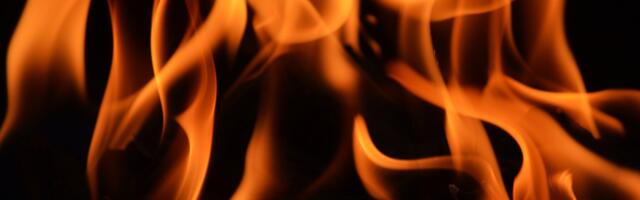 Военные обнаружили обгоревший труп в Ласнамяэском карьере Вяо