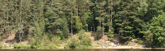 Двое, пытавшиеся нелегально переплыть в Нарву из Ивангорода, приговорены к десяти месяцам колонии общего режима