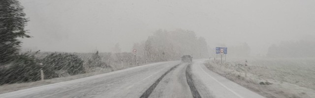 Первый снег в Эстонии: север Пярнумаа стал белым