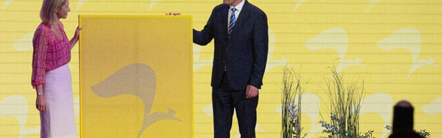 Кая Каллас: Кристену Михалу не хватает решимости бороться на уровне ЕС