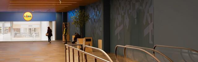 В Таллинне открывается еще один Lidl — с призами и хот-догами за 1 евро