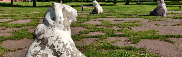 На строительство площадки для детей и взрослых в районе «Темпо» денег нет