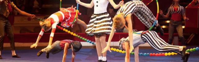 Белобровцев: Муниципальный цирк
