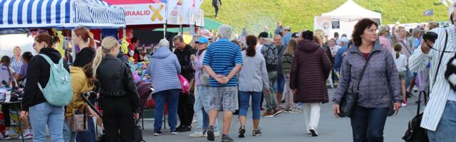 День Ласнамяэ представляет партнеров