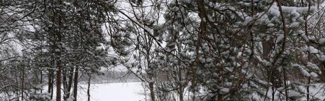 В Латвии с начала этого года от переохлаждения умерли 20 человек