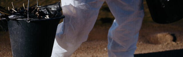 Департамент: загрязнение мазутом у побережья Эстонии происходит из Усть-Луги