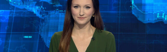 В объективе "АК+": НКО "Слава Украине", мошенники в Нарве и защита животных