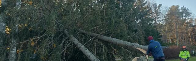 В Elektrilevi позитивно оценивают сотрудничество с местными самоуправлениями во время кризисов