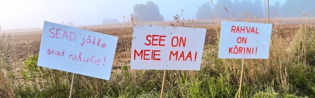 Бизнесмен об уничтожении свиней: так кто здесь свинья, распространяющая чуму?