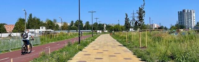 План столичных властей пустить трамвай по парку Путукавяйл вызывает у местных смешанные чувства