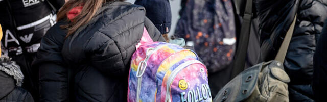 Спецпосланник ЕС: режим временной защиты украинцев в ЕС вряд ли будет продлен в 2027 году