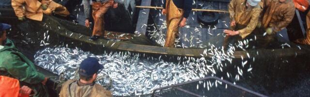 В октябре индекс цен производителей промышленной продукции повысился на 0,6%