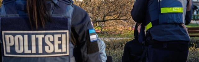 В парке Таммсааре молодой человек угрожал ножом — дело передано в прокуратуру