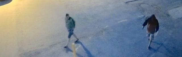 Полиция просит помощи в расследовании поджога (видео)