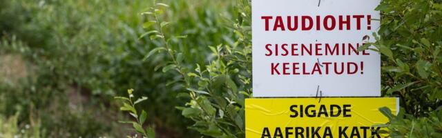 ПРЯМО СЕЙЧАС | Распространение АЧС не смогли остановить. Министр дает обзор ситуации