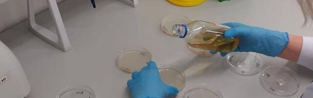 Департамент назвал причину вспышки заболеваемости в Курессааре