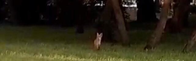 Не только в Вильнюсе