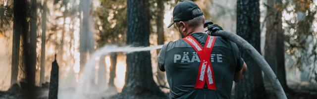 Синоптик: нас ждут жара и высокий риск пожаров. Ситуация изменится к Яановой ночи