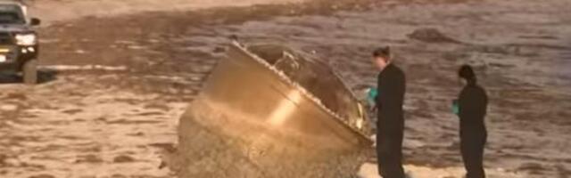 На побережье Австралии выбросило непонятный объект. Что это может быть?