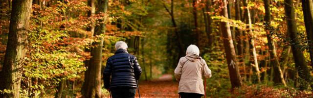 Тарту провёл исследование на тему благополучия пожилых горожан